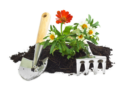 Petits travaux de jardinage
